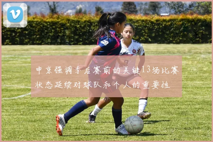 申京强调季后赛前的关键13场比赛状态延续对球队和个人的重要性